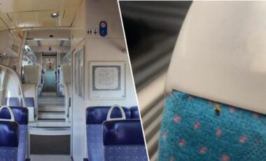 Punaises de lits dans les trains et les services publics : quelle est la situation ?