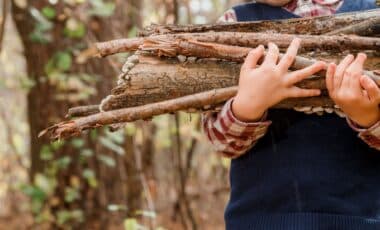 Chauffage : attention, le ramassage du bois en forêt peut vous coûter 1 500 euros d'amende !