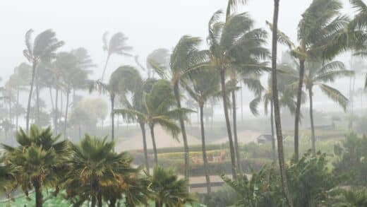 Météo : placée en alerte rouge, le cyclone Belal pourra marquer l'histoire de l'île de la Réunion