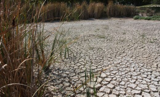 Météo France alerte sur les risques de sécheresse : voici les régions concernées