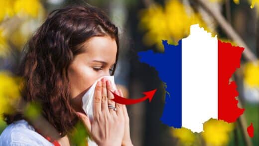 Risque élevé d'allergie au pollen : voici les régions concernées